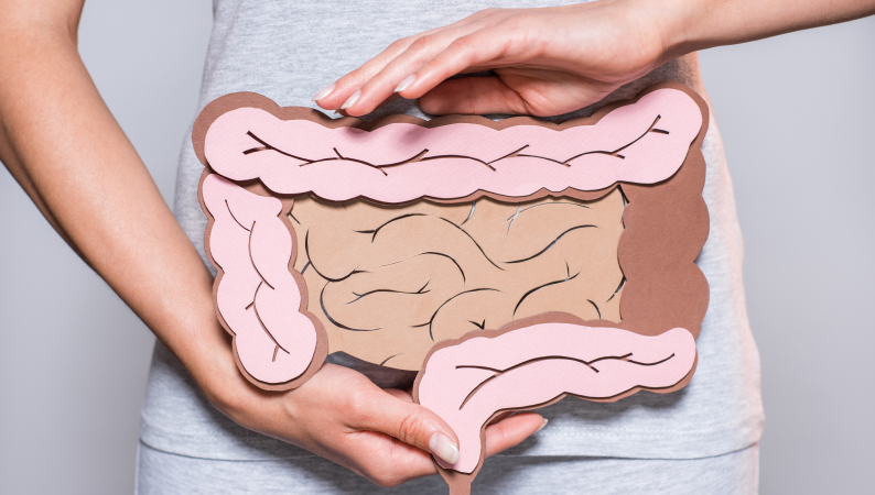 Zbliżenie na papierowy model jelit trzymany przez kobietę – edukacyjna ilustracja przedstawiająca zdrowie jelit.